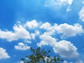 blueÃ¢â¬â¹ skyÃ¢â¬â¹ andÃ¢â¬â¹ whiteÃ¢â¬â¹ cloudÃ¢â¬â¹ withÃ¢â¬â¹ copyÃ¢â¬â¹ spaceÃ¢â¬â¹ forÃ¢â¬â¹ design. Royalty Free Stock Photo